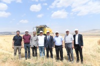 Ziraat Fakültemiz Tarımsal Deneme Sahasına Ekimi Yapılan “Bayraktar-2000” Buğday Çeşidinden Yüksek Verim Elde Edildi